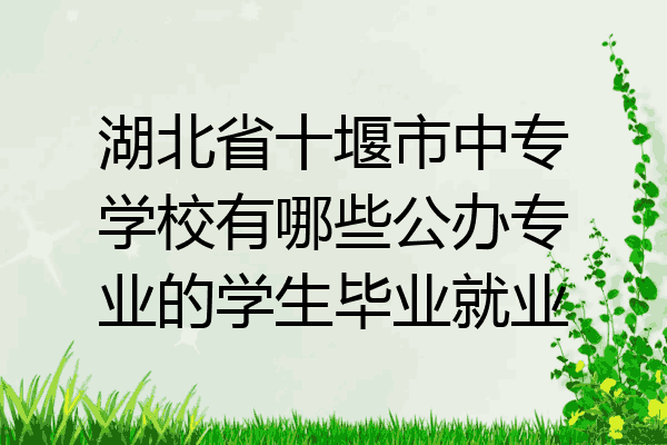 湖北省十堰市中专学校有哪些公办专业的学生毕业就业