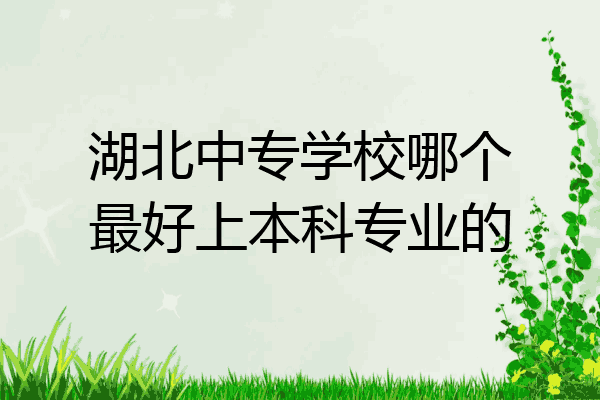 湖北中专学校哪个最好上本科专业的