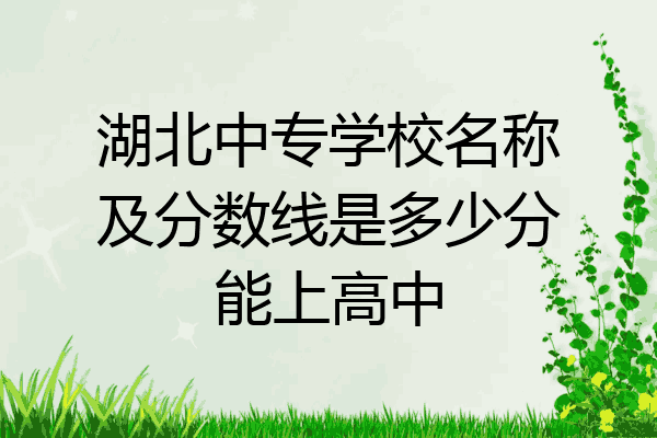 湖北中专学校名称及分数线是多少分能上高中