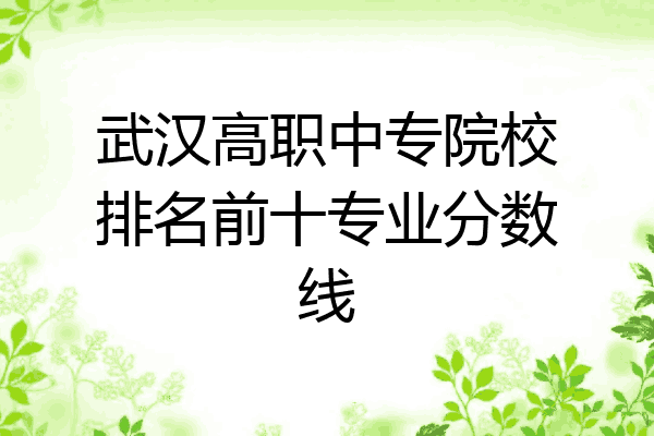 武汉高职中专院校排名前十专业分数线