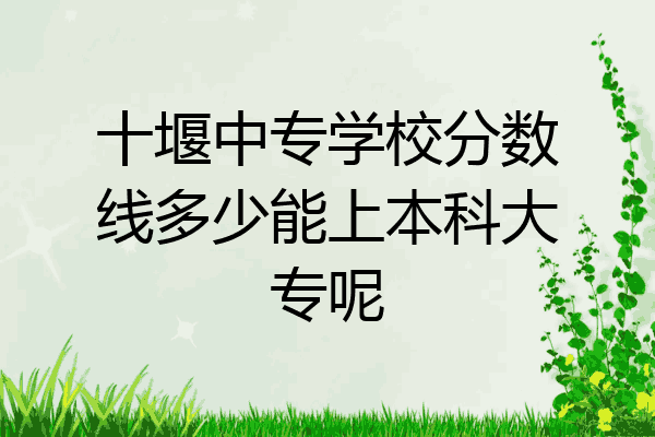 十堰中专学校分数线多少能上本科大专呢