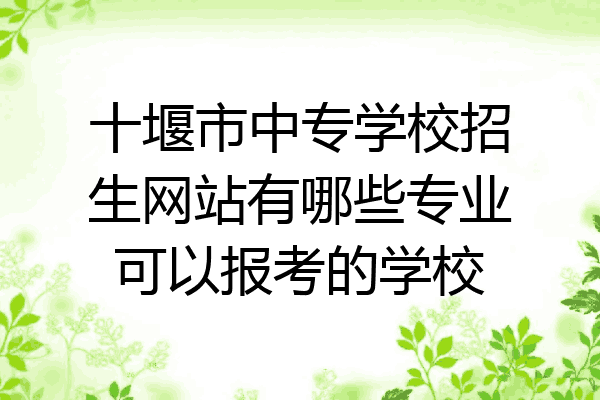 十堰市中专学校招生网站有哪些专业可以报考的学校