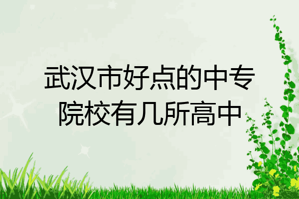 武汉市好点的中专院校有几所高中