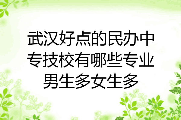 武汉好点的民办中专技校有哪些专业男生多女生多