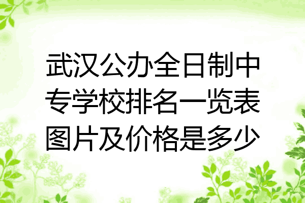 武汉公办全日制中专学校排名一览表图片及价格是多少