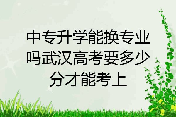中专升学能换专业吗武汉高考要多少分才能考上