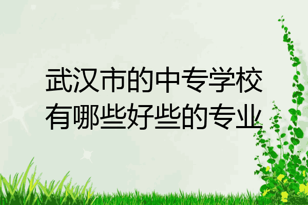 武汉市的中专学校有哪些好些的专业