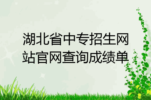 湖北省中专招生网站官网查询成绩单