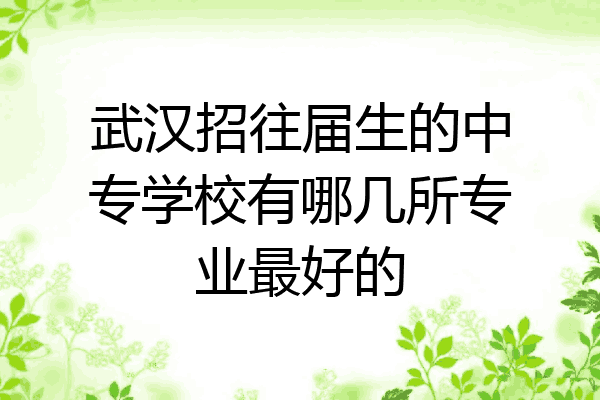 武汉招往届生的中专学校有哪几所专业最好的