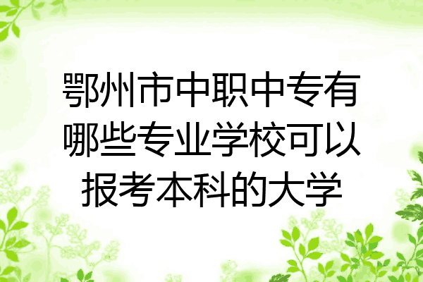 鄂州市中职中专有哪些专业学校可以报考本科的大学