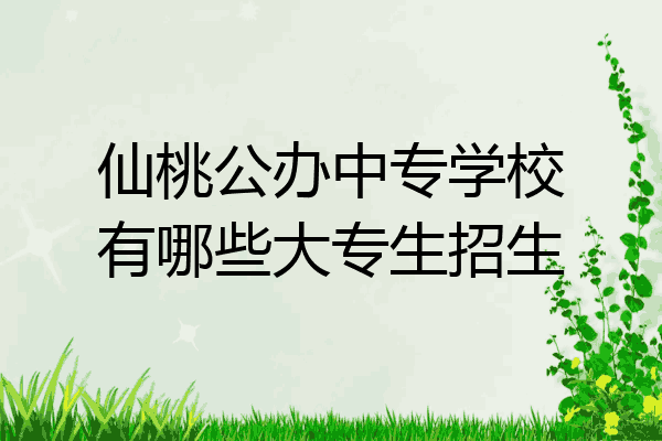 仙桃公办中专学校有哪些大专生招生