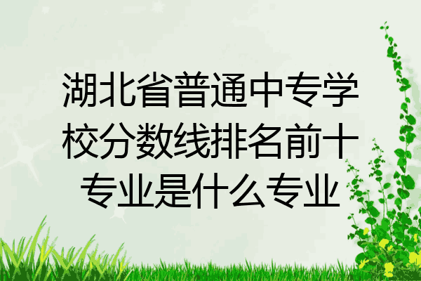 湖北省普通中专学校分数线排名前十专业是什么专业