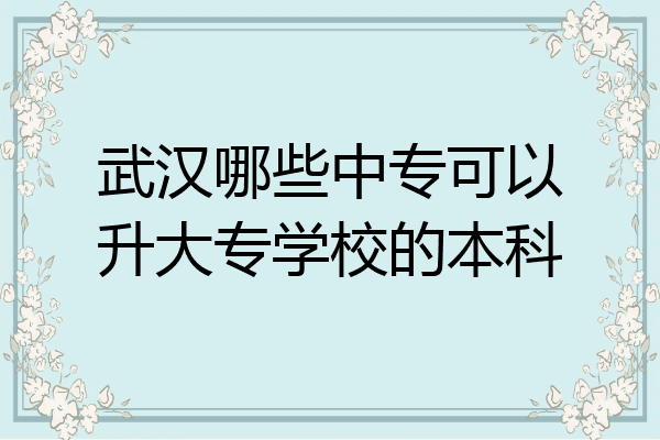 武汉哪些中专可以升大专学校的本科