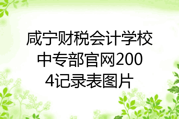 咸宁财税会计学校中专部官网2004记录表图片
