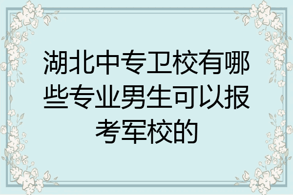 湖北中专卫校有哪些专业男生可以报考军校的