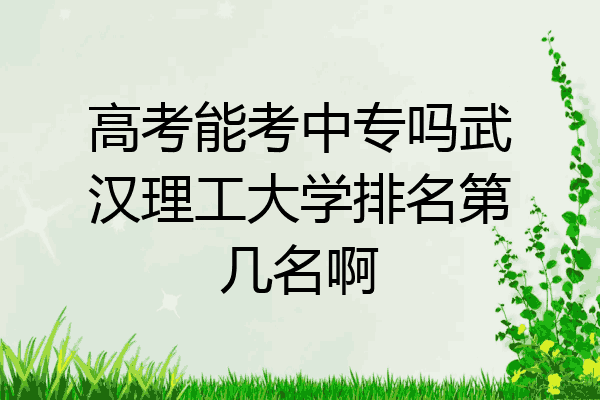 高考能考中专吗武汉理工大学排名第几名啊