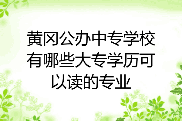 黄冈公办中专学校有哪些大专学历可以读的专业