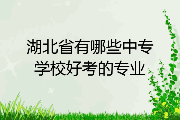 湖北省有哪些中专学校好考的专业