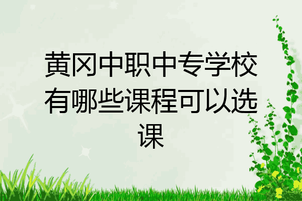 黄冈中职中专学校有哪些课程可以选课