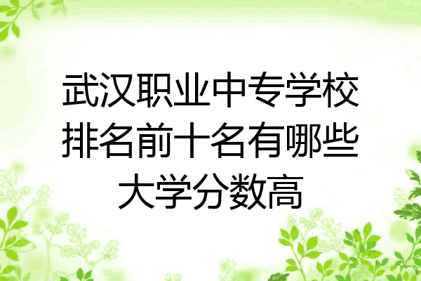 武汉职业中专学校排名前十名有哪些大学分数高