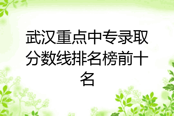 武汉重点中专录取分数线排名榜前十名