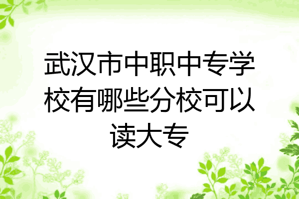 武汉市中职中专学校有哪些分校可以读大专