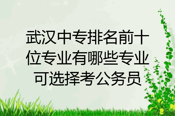 武汉中专排名前十位专业有哪些专业可选择考公务员