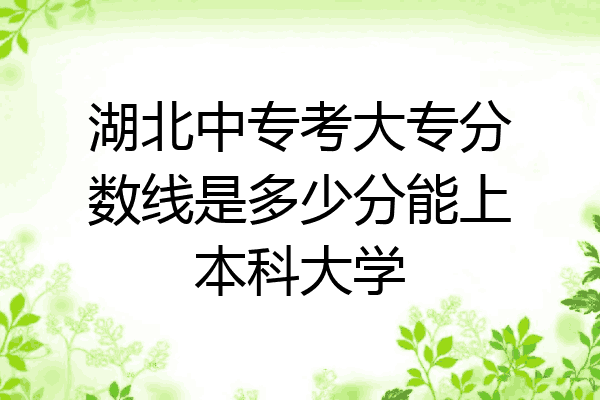 湖北中专考大专分数线是多少分能上本科大学