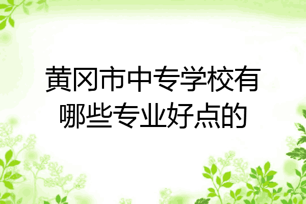 黄冈市中专学校有哪些专业好点的