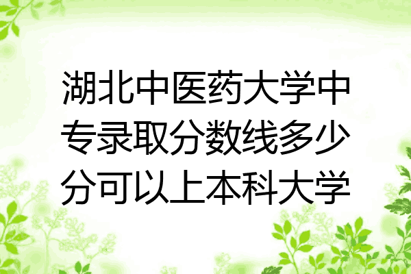 湖北中医药大学中专录取分数线多少分可以上本科大学