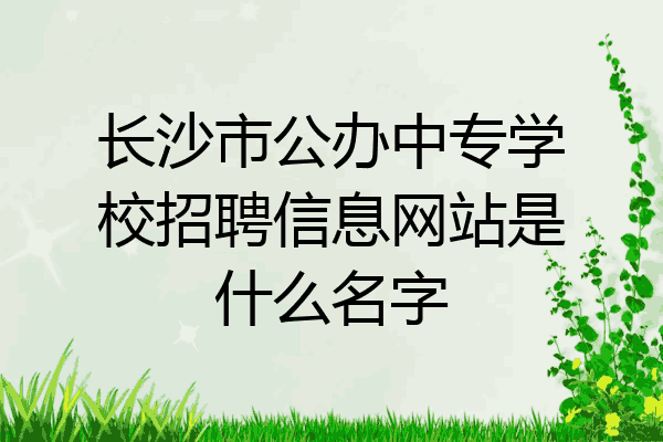 长沙市公办中专学校招聘信息网站是什么名字