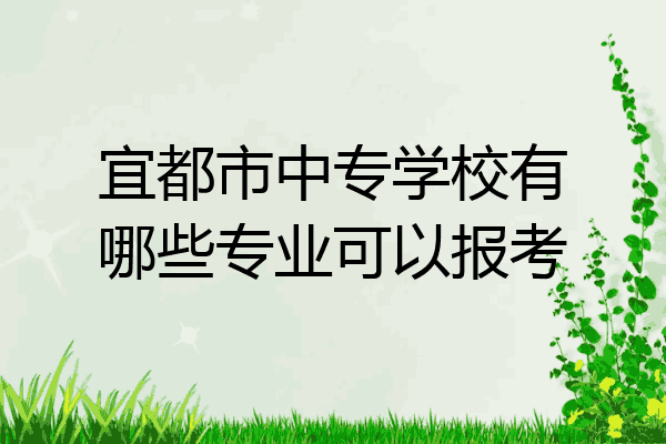 宜都市中专学校有哪些专业可以报考