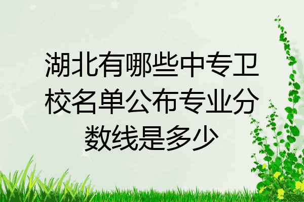 湖北有哪些中专卫校名单公布专业分数线是多少