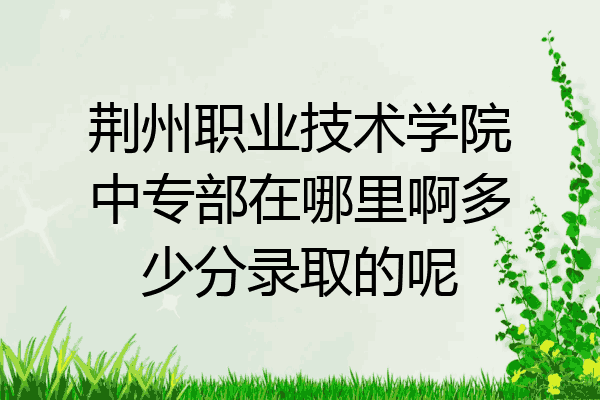 荆州职业技术学院中专部在哪里啊多少分录取的呢