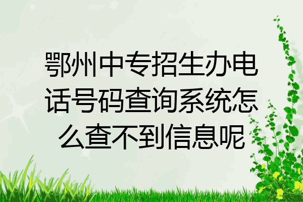 鄂州中专招生办电话号码查询系统怎么查不到信息呢