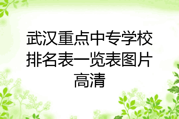 武汉重点中专学校排名表一览表图片高清