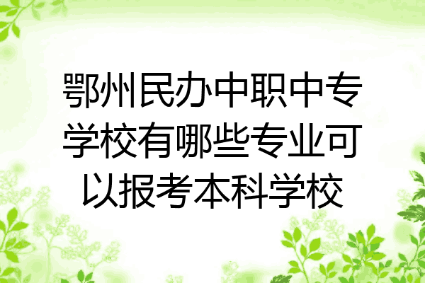 鄂州民办中职中专学校有哪些专业可以报考本科学校