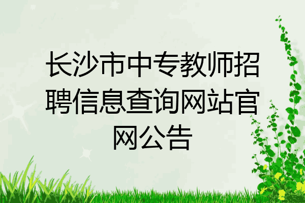 长沙市中专教师招聘信息查询网站官网公告