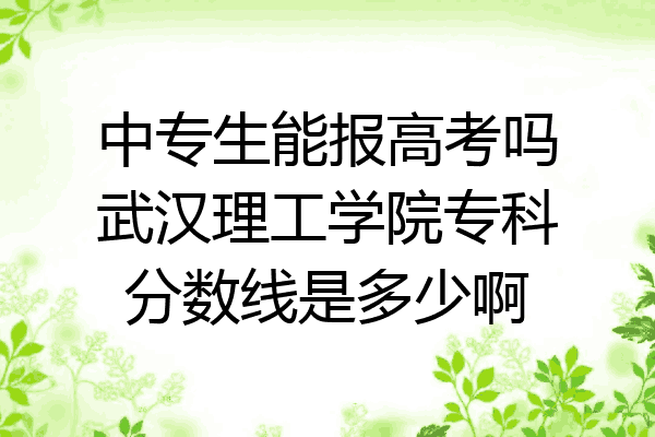 中专生能报高考吗武汉理工学院专科分数线是多少啊