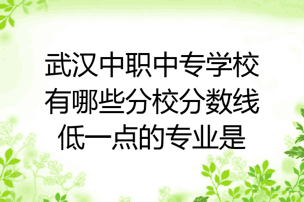 武汉中职中专学校有哪些分校分数线低一点的专业是