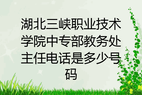 湖北三峡职业技术学院中专部教务处主任电话是多少号码