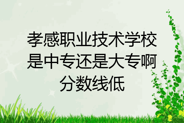 孝感职业技术学校是中专还是大专啊分数线低