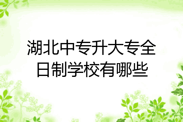 湖北中专升大专全日制学校有哪些