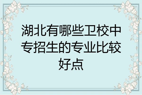 湖北有哪些卫校中专招生的专业比较好点