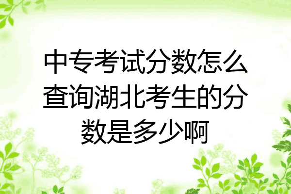 中专考试分数怎么查询湖北考生的分数是多少啊