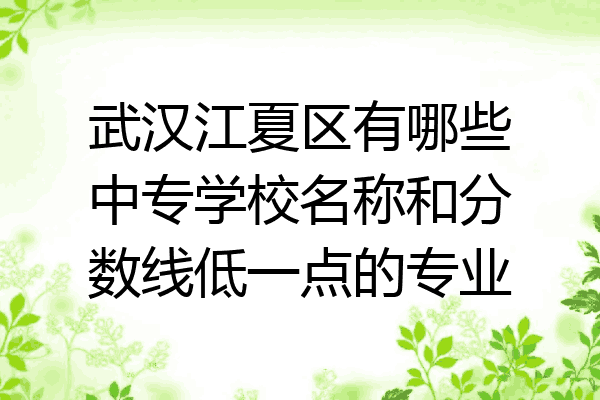 武汉江夏区有哪些中专学校名称和分数线低一点的专业