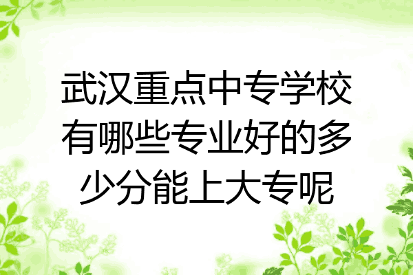 武汉重点中专学校有哪些专业好的多少分能上大专呢