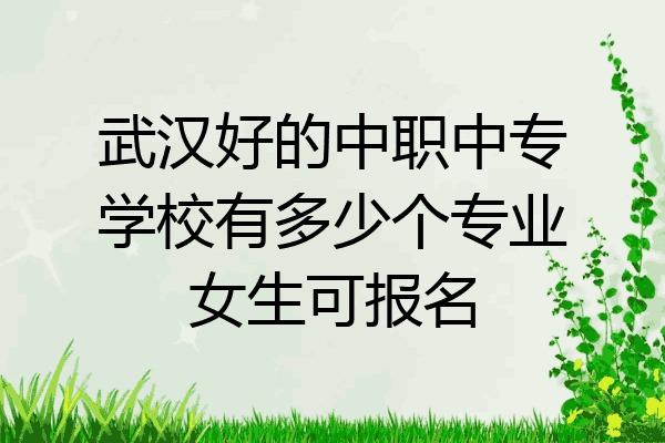 武汉好的中职中专学校有多少个专业女生可报名