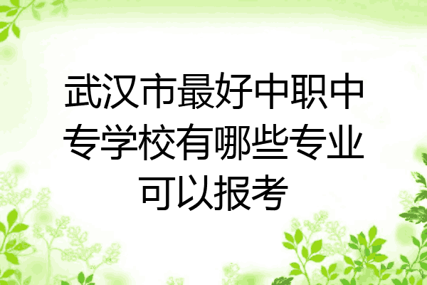 武汉市最好中职中专学校有哪些专业可以报考