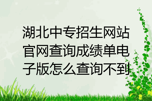 湖北中专招生网站官网查询成绩单电子版怎么查询不到